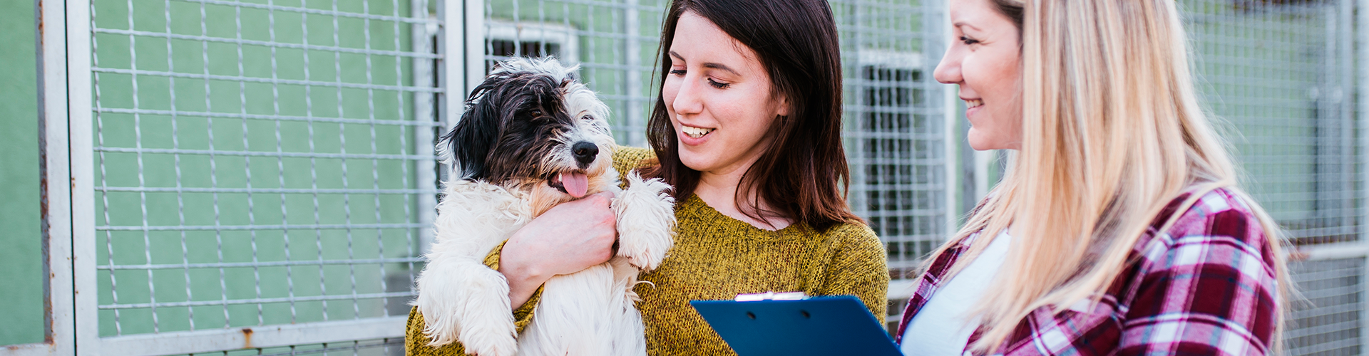 Banner Comissão de Ética no Uso de Animais