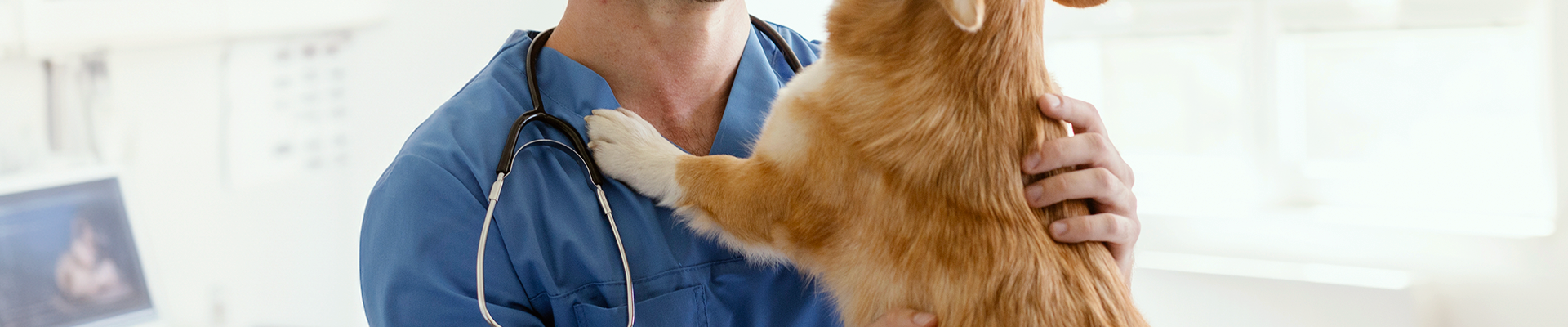 Estudante caminhando pelo campus segurando alças da mochila com suas mãos. 