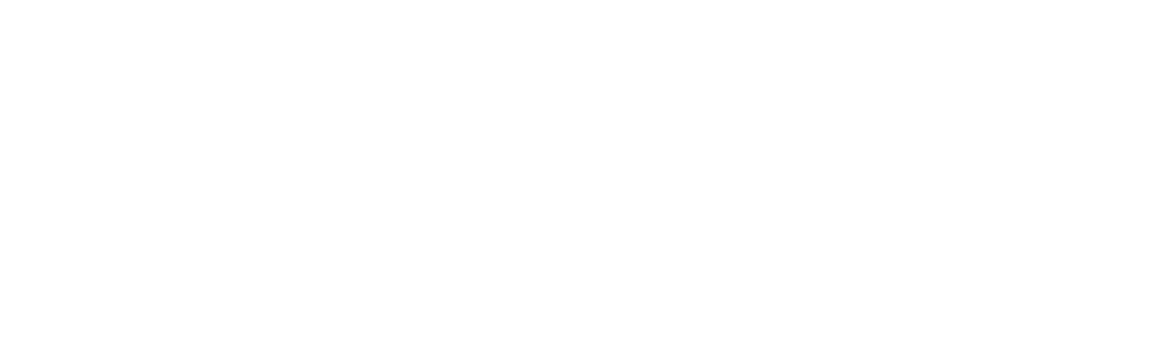 UCDB_PPG PSICOLOGIA_LOGO_HORIZONTAL BRANCO.png