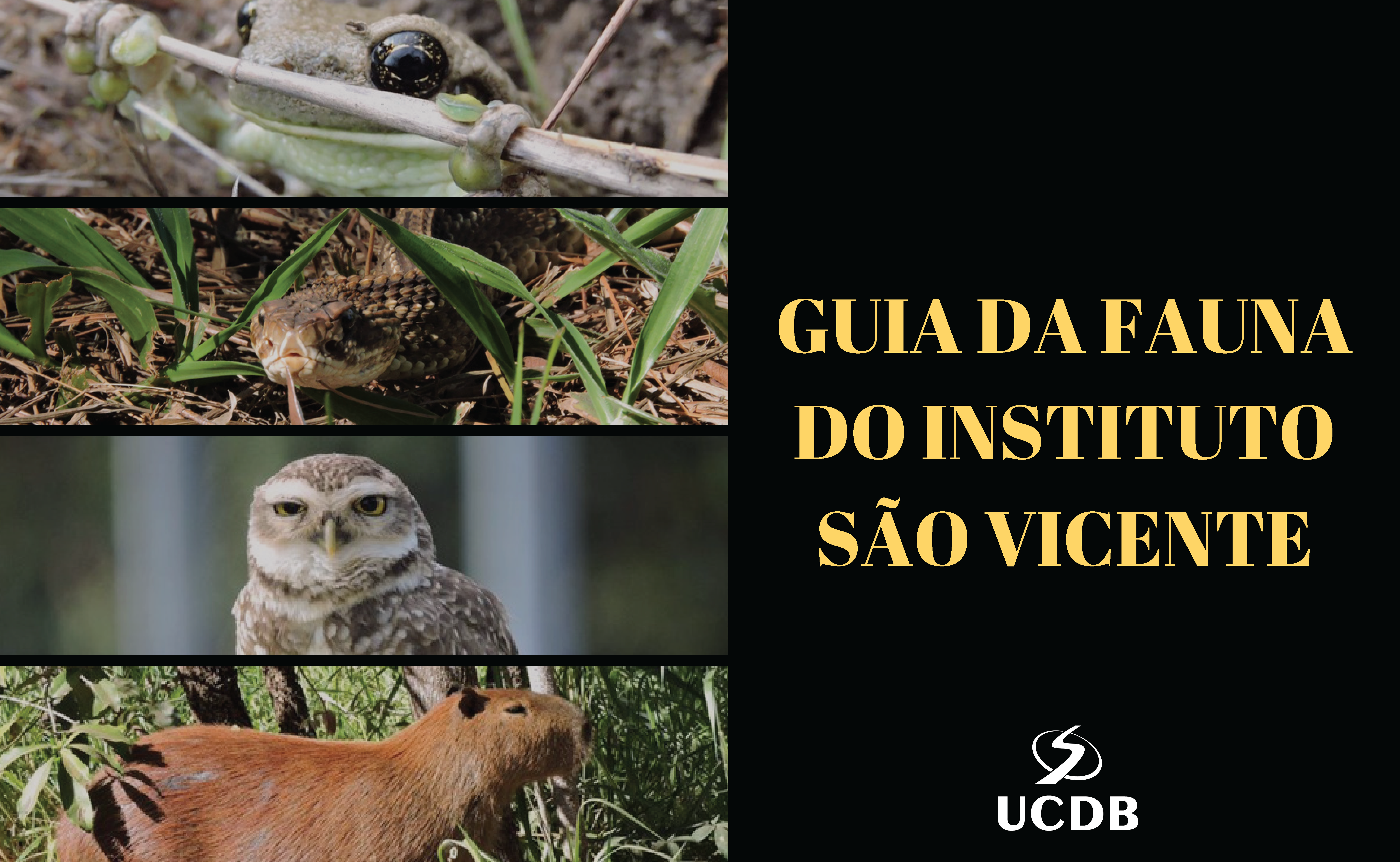 Guia da Fauna do Instituto São Vicente