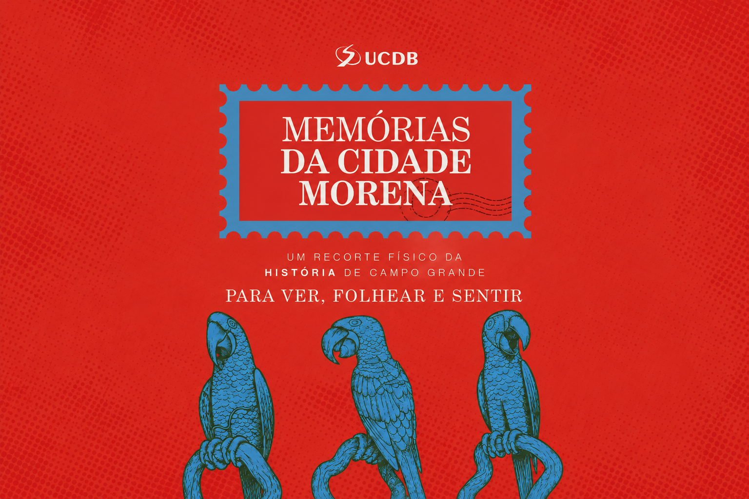 Nos 127 anos de Campo Grande, Biblioteca da UCDB expõe livros raros sobre a Capital