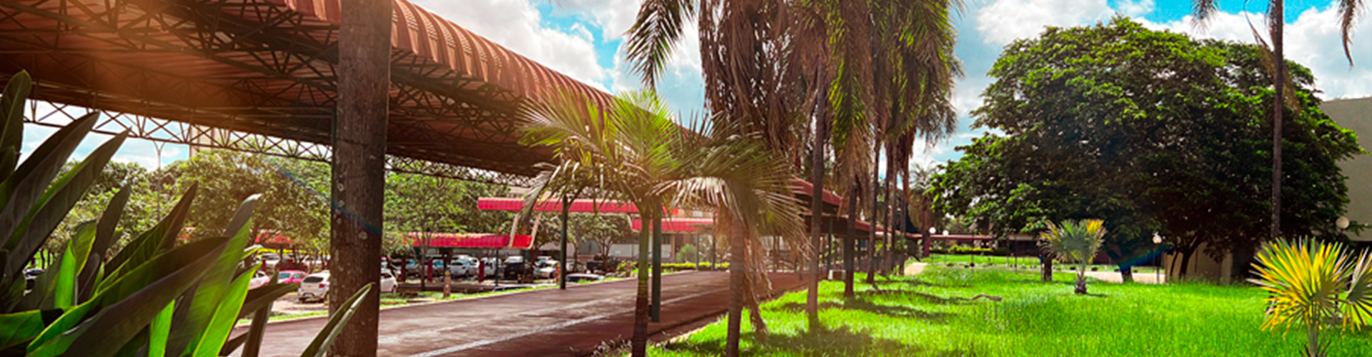 Banner Ser Comunitária 