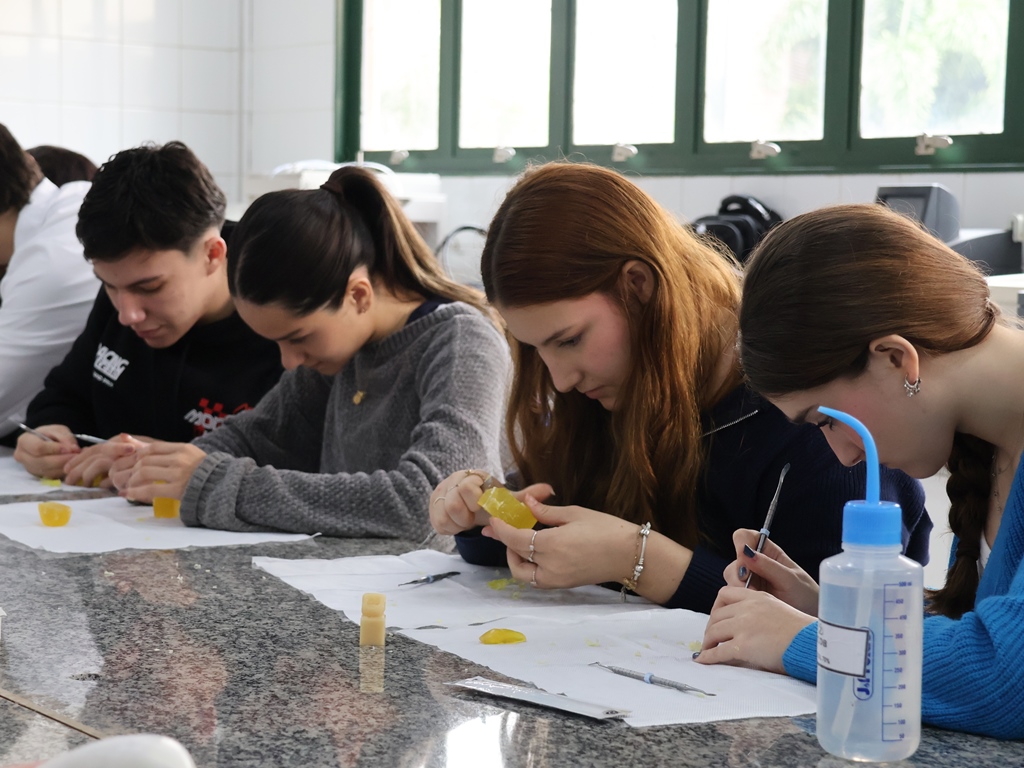 País UCDB – Edição Odonto proporciona experiência imersiva na graduação