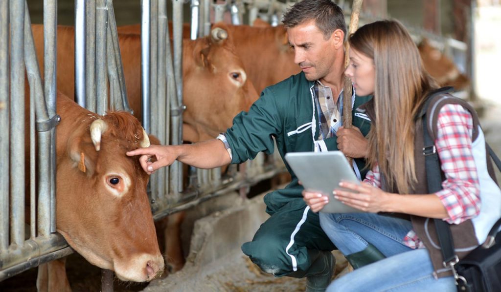 Especialidade: Grande Porte - Veterinária e Zootecnia UCDB