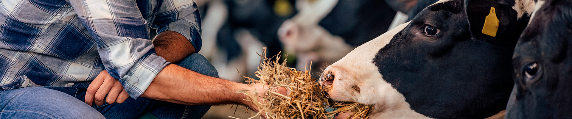 Estudante caminhando pelo campus segurando alças da mochila com suas mãos. 